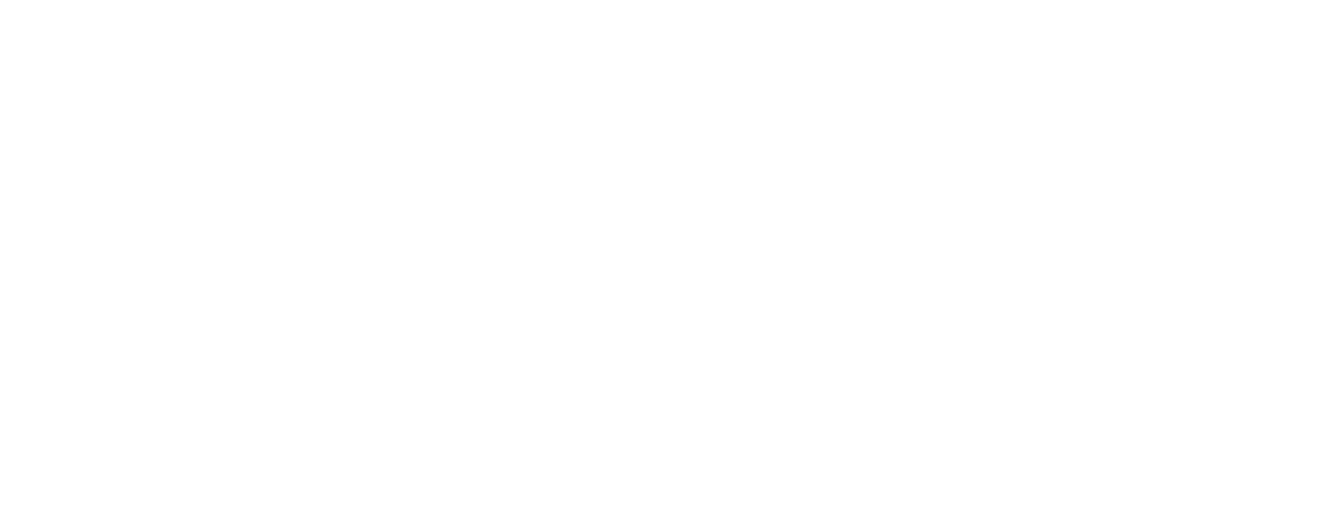 Velzia Group